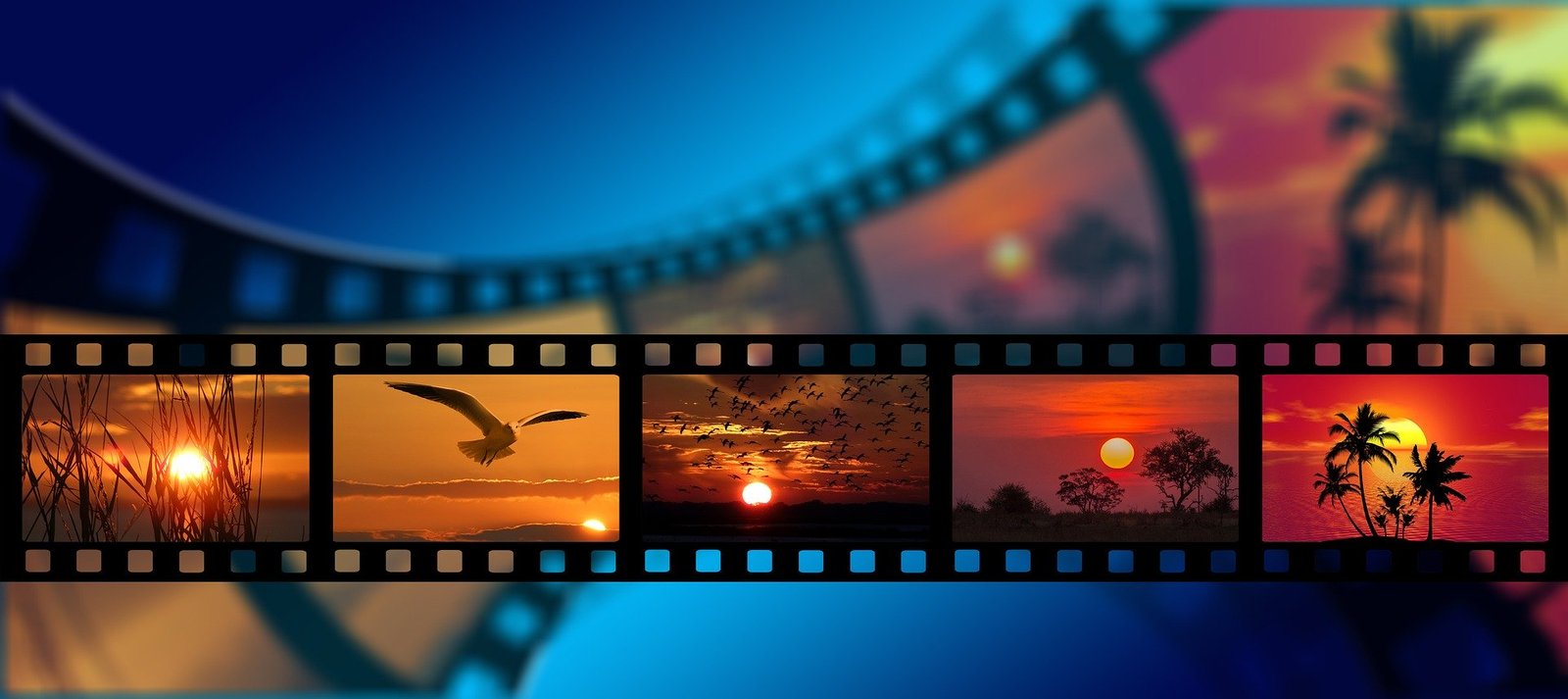 Interactive Video